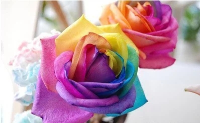 無機(jī)顏料發(fā)展情景怎么樣？